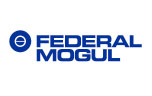 Descargar catálogo Federal Mogul